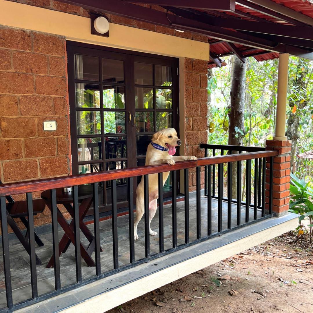 Raindrops Resorts Wayanad 술탄 바테리 외부 사진