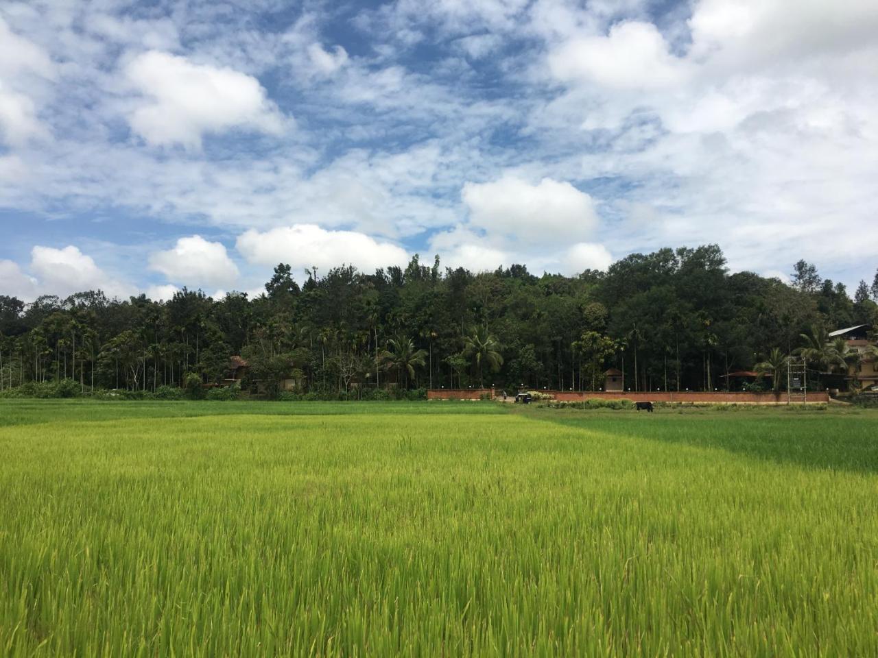 Raindrops Resorts Wayanad 술탄 바테리 외부 사진